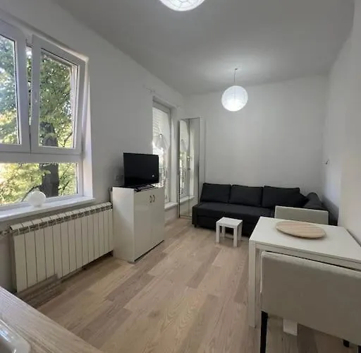 Kopernikova بلغراد